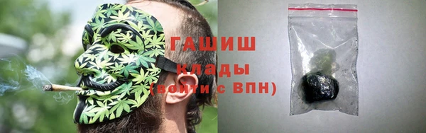 PSILOCYBIN Покачи