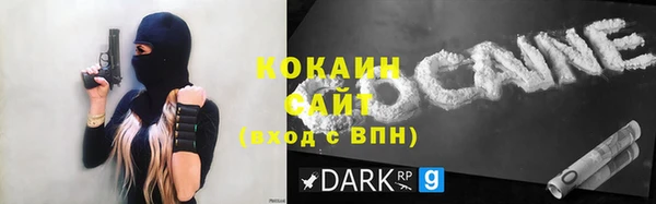 PSILOCYBIN Покачи
