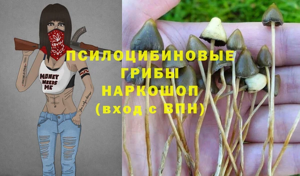 PSILOCYBIN Покачи