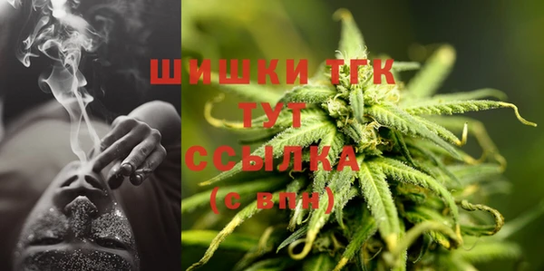 PSILOCYBIN Покачи