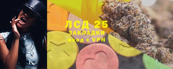 PSILOCYBIN Покачи
