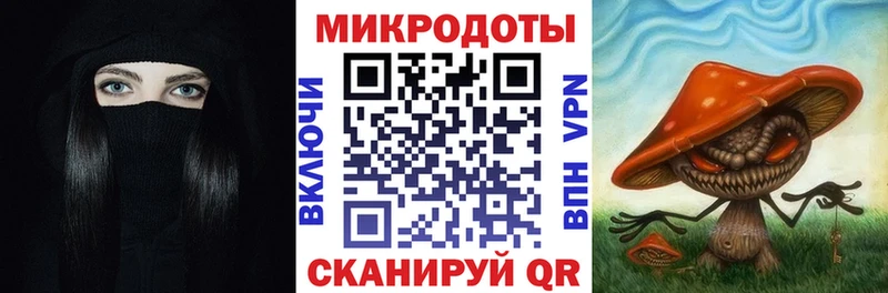 Купить закладки  Сольвычегодск  Галлюциногенные грибы Psilocybe 